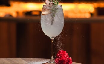 World Class Cocktail Festival