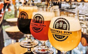 festiwal piwa browary warszawskie