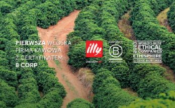 illy BCorp
