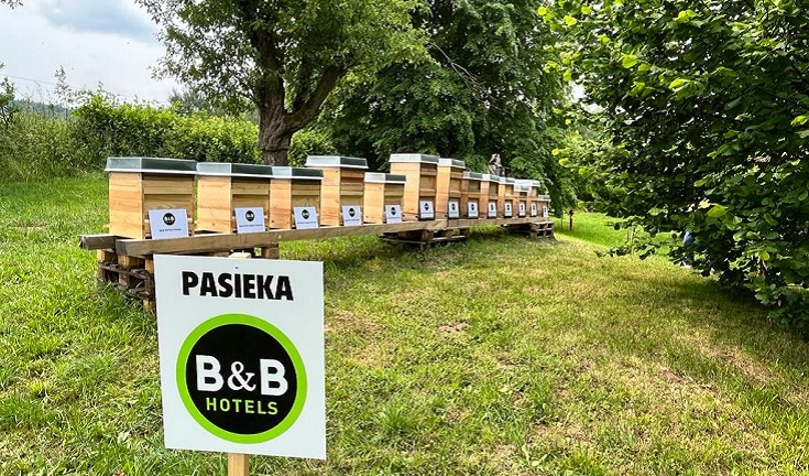 Pasieka B&B Hotels Polska