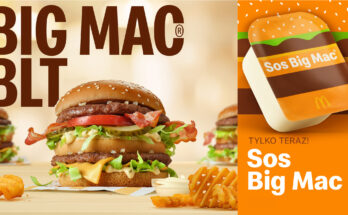 big mac mcdonald's