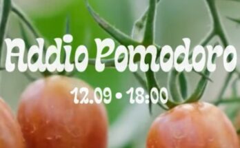 Addio Pomodoro KTW Szałe
