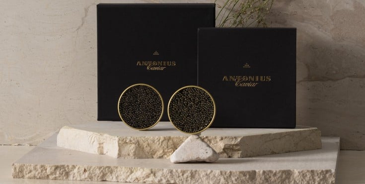 Bristol Cafe - Antonius Caviar