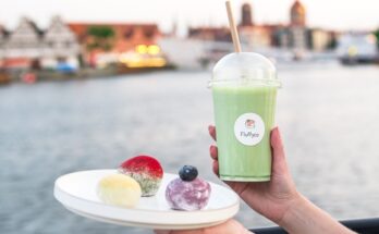 fluffyco gdańsk