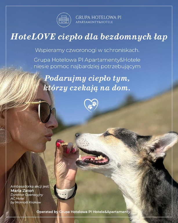 Ac baner bezdomne psy