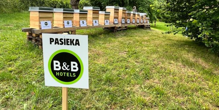 B&B Hotels wspiera populację owadów