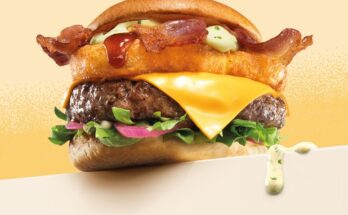 burger rywala max premium burgers