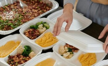 catering proveg
