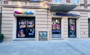 mex polska katowice chicas & gorillas pijalnia wódki