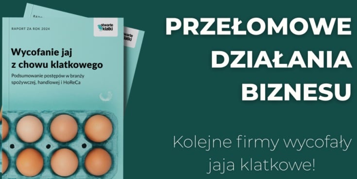 Otwarte Klatki- odejście od jaj klatkowych