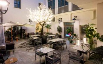 saski-garden-3